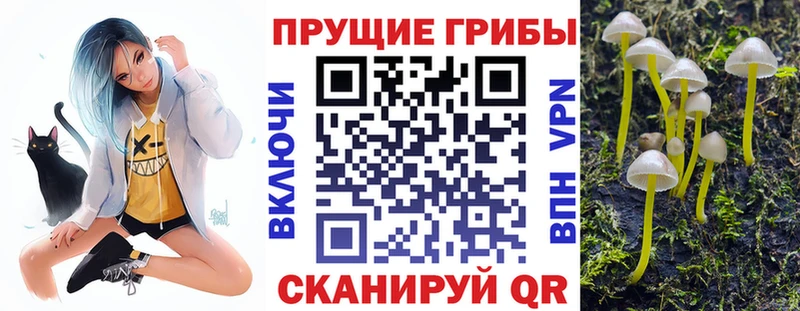 Галлюциногенные грибы прущие грибы  Пролетарск 
